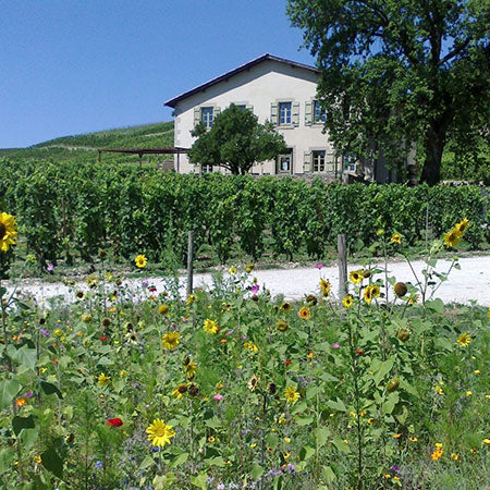 Cave de Tain Crozes-Hermitage ‘Sans Sulfites’ 2020